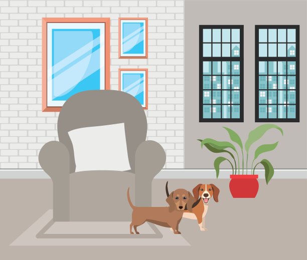 客厅里可爱的小狗图片下载