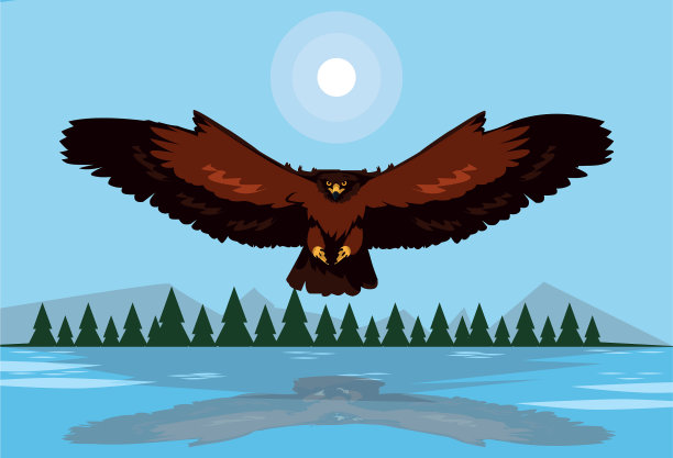 壮观的鹰鸟在风景中飞翔图片下载