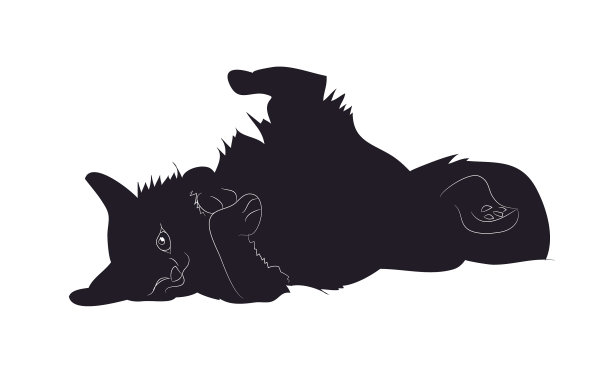 一只趴在地上冒险的猫图片下载