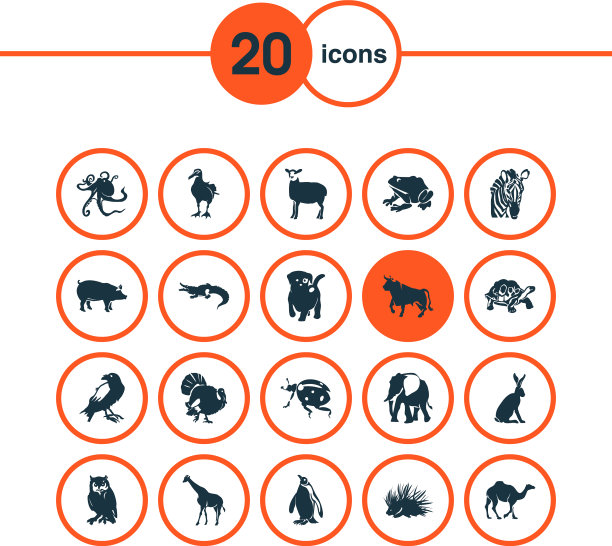 动物图标设置与猪，野兔，豪猪和图片下载