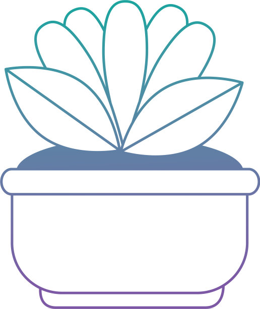 美丽的花朵在花盆中装饰图片下载