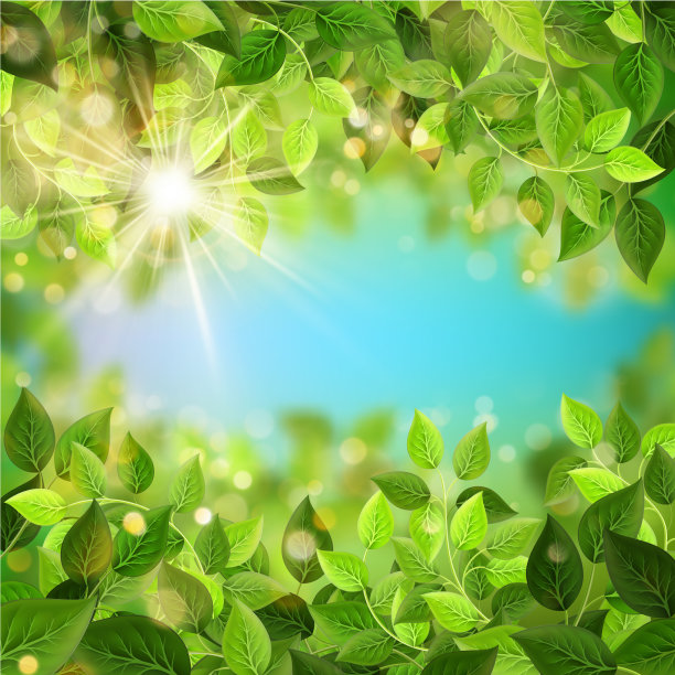 新鲜季节的树枝与绿色的叶子eps 10图片下载