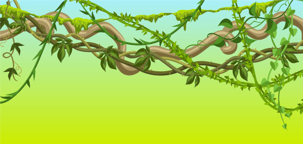 扭曲的野生藤本树枝旗帜图片下载