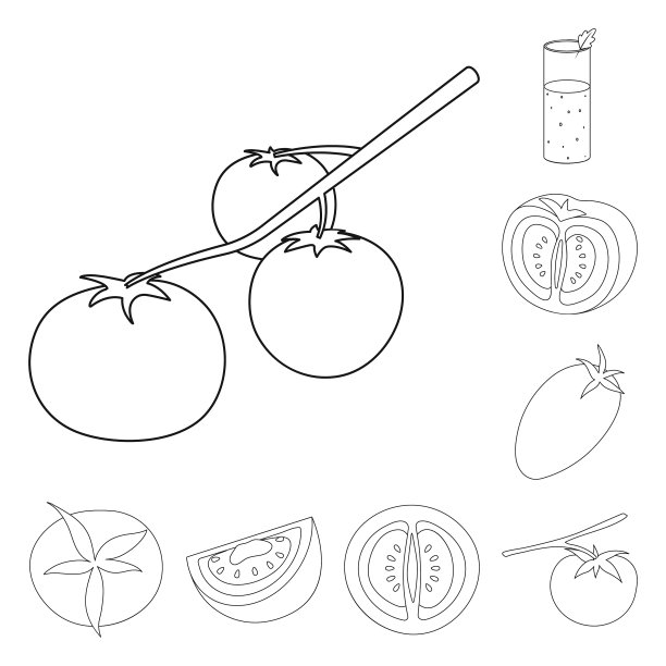 孤立对象番茄和饮食标志集图片下载