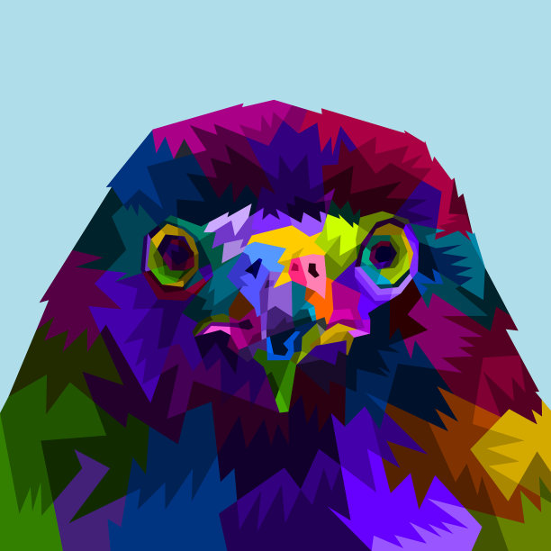 彩色的鹰靠近了图片下载