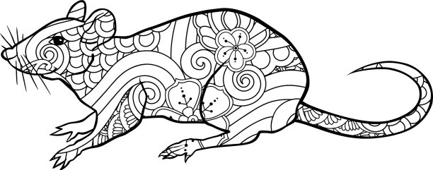 涂色页与涂鸦风格的老鼠在zentangle图片下载