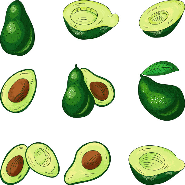 鳄梨整体和切割颜色集图片下载