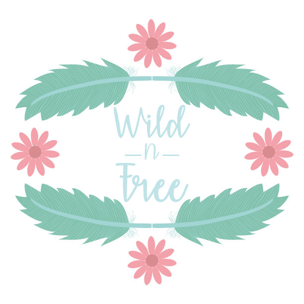 自由不羁的波西米亚风格的羽毛图片下载