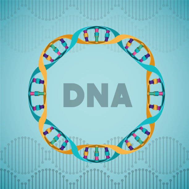 DNA分子环状结构图片下载