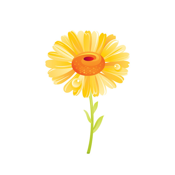 雏菊花花卉图标逼真卡通可爱图片下载