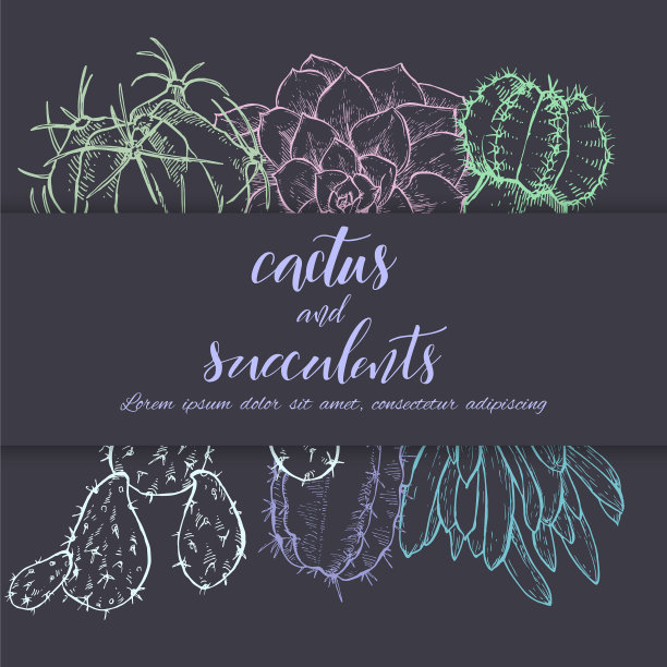 仙人掌多肉植物线形素描图片下载