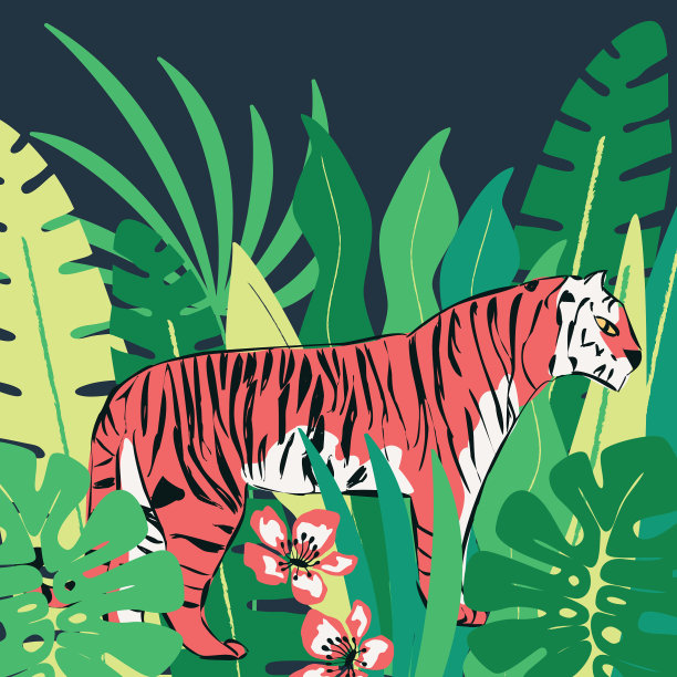 手绘红色老虎与异国情调的热带树叶图片下载