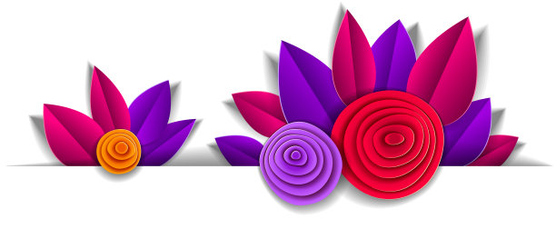 秋天的花和叶美丽的背景图片下载