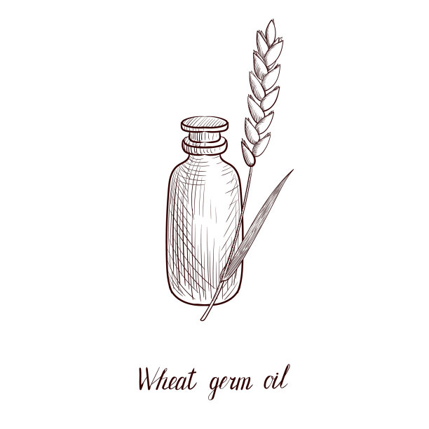 拉丝小麦胚芽油图片下载