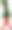 白色背景上的绿色夹克图片下载