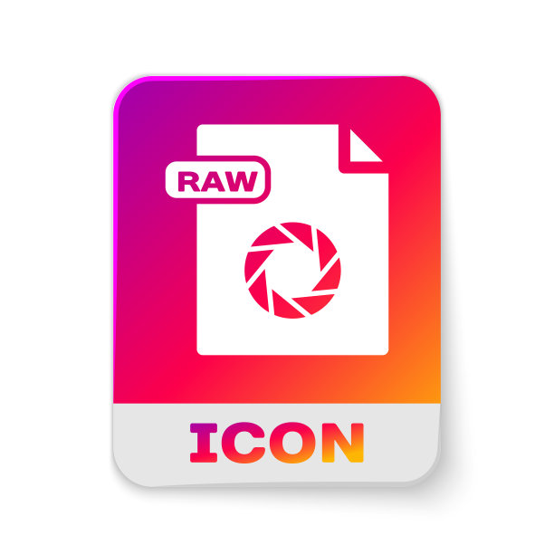 白色原始文件文件下载原始按钮图标图片下载