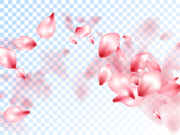 粉红色樱花花瓣飘落的图形图片下载