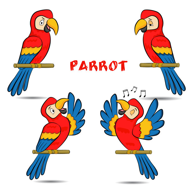 可爱的鹦鹉图片下载