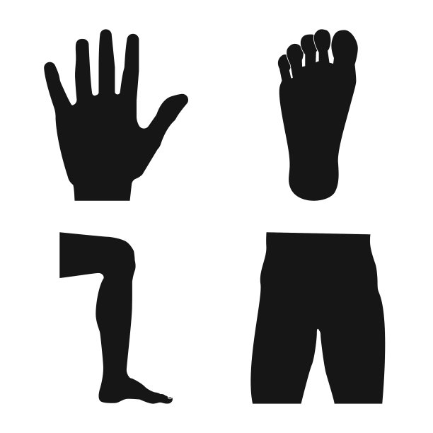 设计人体和部分标志集合图片下载