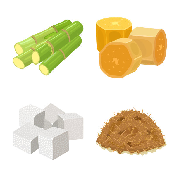 设计甘蔗和植物图标套图片下载