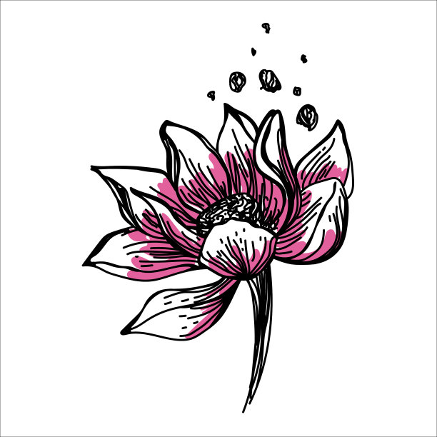 墨用荷花墨手绘而成图片下载