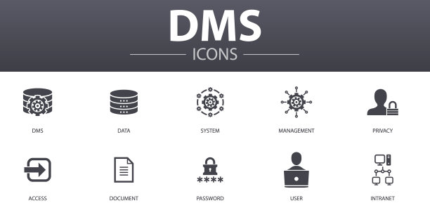 DMS简约概念图标集图片下载