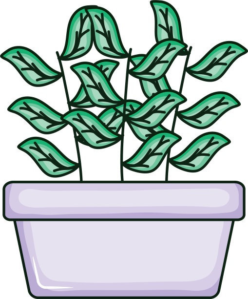 方陶罐植物自然图片下载