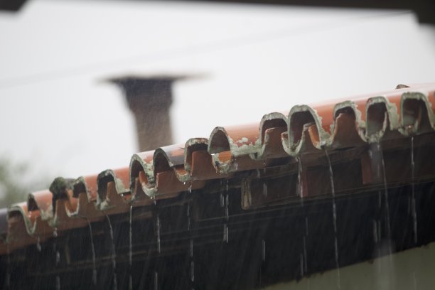 农场的雨图片下载