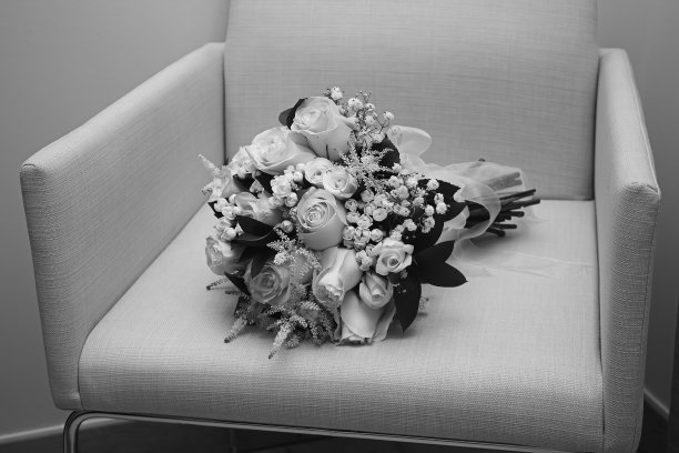 束白玫瑰图片下载