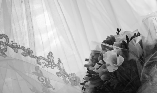 婚纱挂图片下载