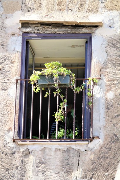 一个旧的开着的窗户和一个悬挂的花盆的细节图片下载