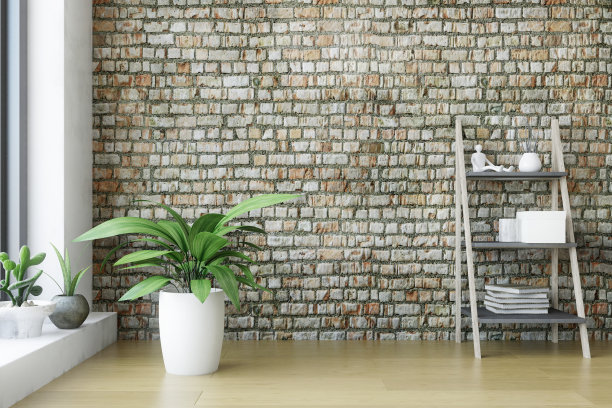 室内木质架子和绿色植物图片下载