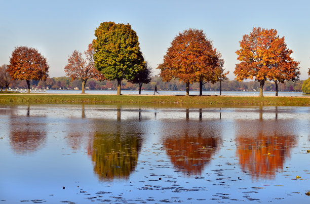 公园的倒影图片下载