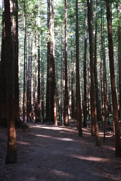 澳大利亚图片下载
