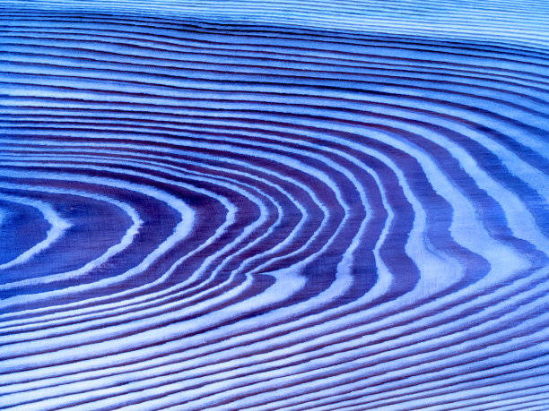 雪松董事会背景图片下载