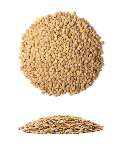 扁豆粒堆在白色的背景上图片下载