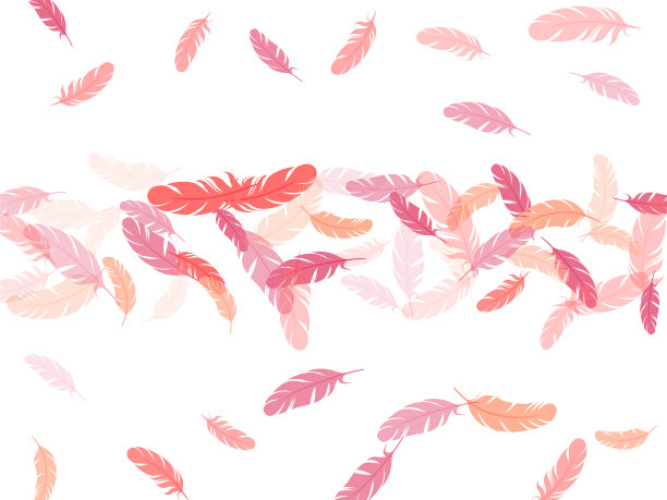 飞行羽毛元素轻盈的设计图片下载