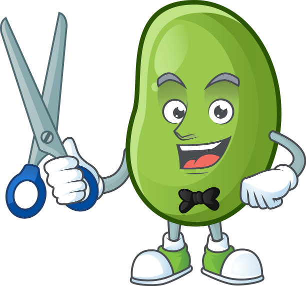 笑脸理发师青豆吉祥物卡通人物图片下载