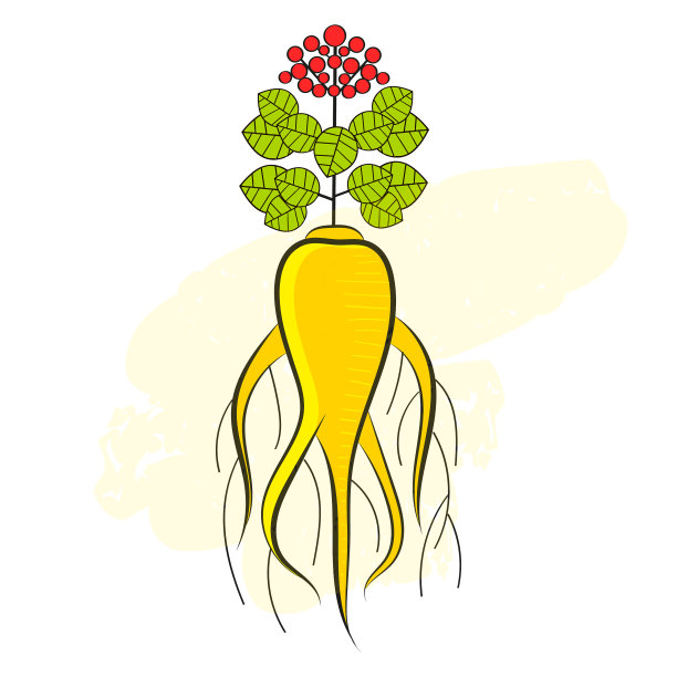 一种人参根和部分植物设计图片下载