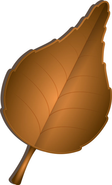 孤立的秋叶图片下载