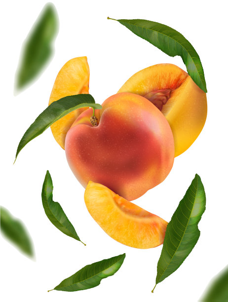 Vn桃子背景2图片下载