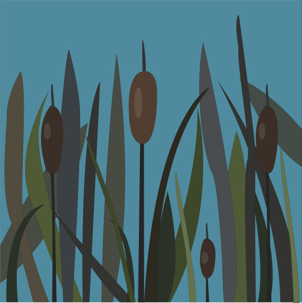 布什沼泽芦苇在湖上图片下载