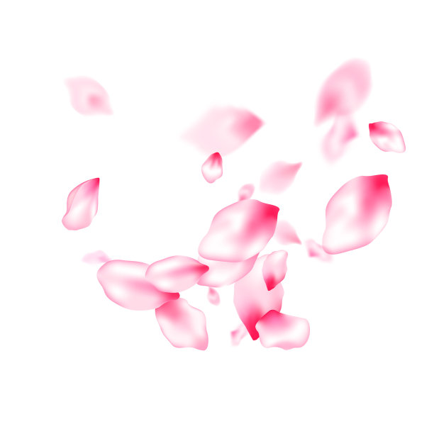 春花独瓣飞图片下载