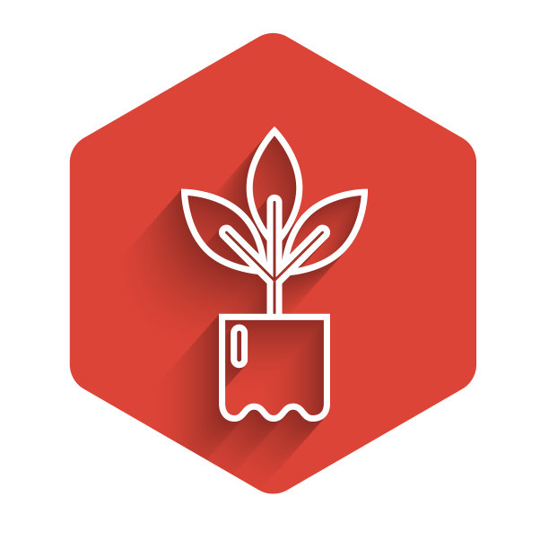 白色线植物在瓶中图标孤立与长图片下载