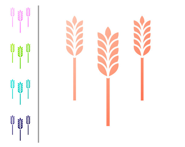 珊瑚谷物与水稻、小麦、玉米、燕麦图片下载