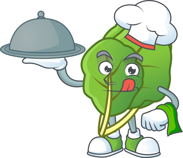 可爱的羽衣甘蓝作为厨师的帽子和托盘图片下载