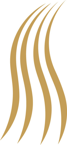 头发波浪标志图标图片下载