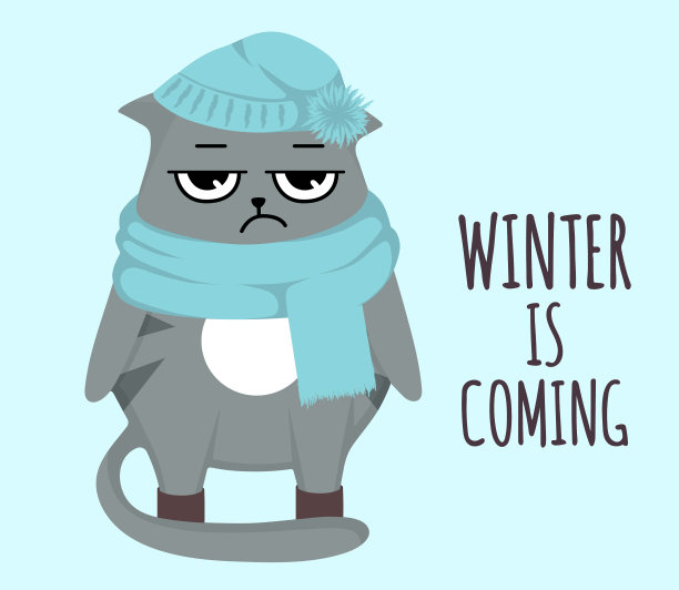 不爽猫戴着围巾和帽子的冬天是冬天图片下载