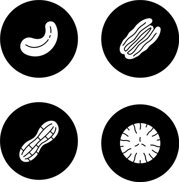 坚果类型字形图标集图片下载