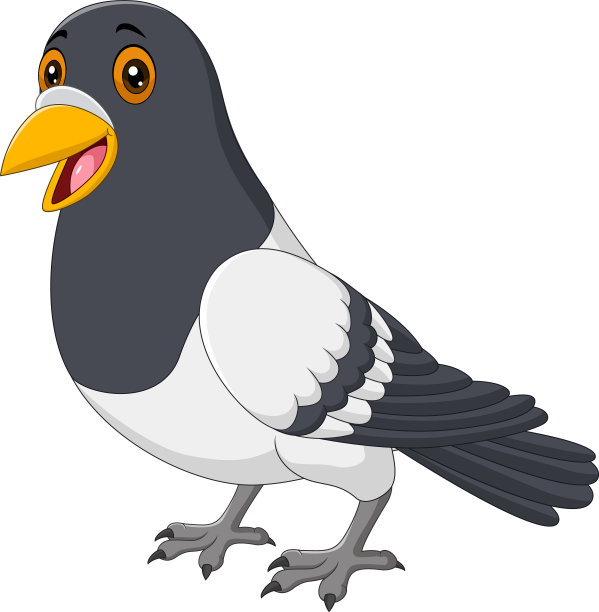 卡通有趣的鸽子孤立在白色的背景图片下载